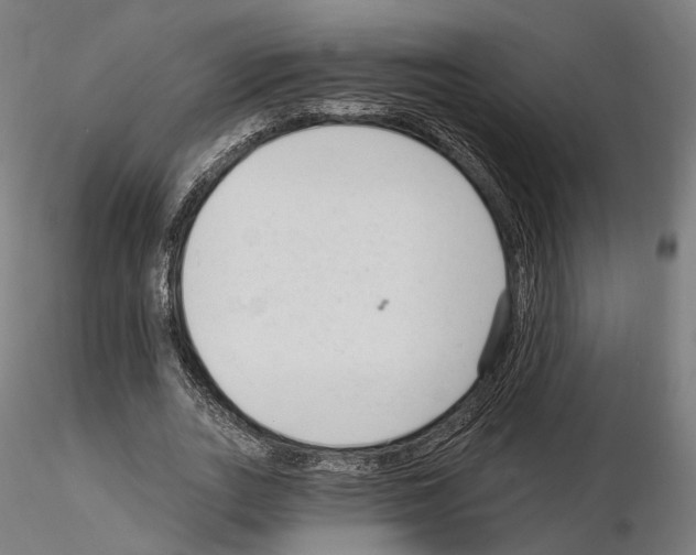 X0000114690727200912021044