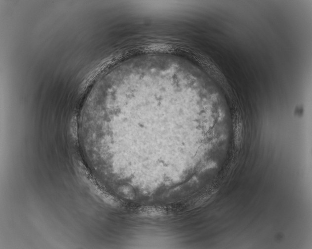 X0000114690729200912021044