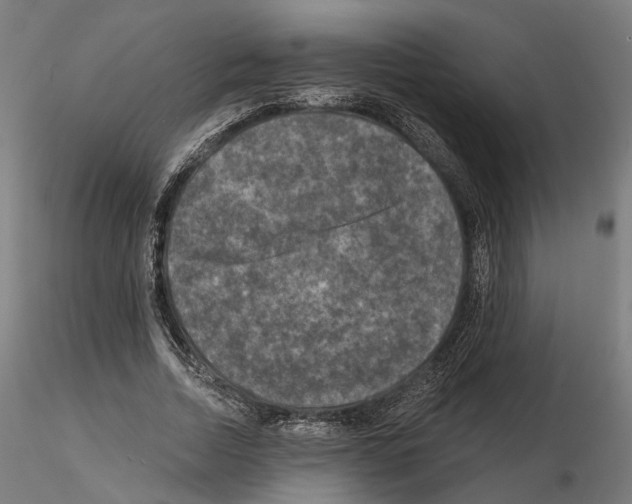 X0000114690730200912021044