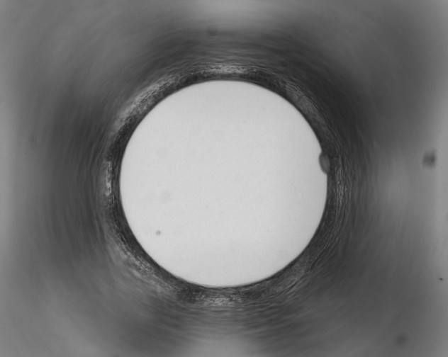 X0000114690731200912021044