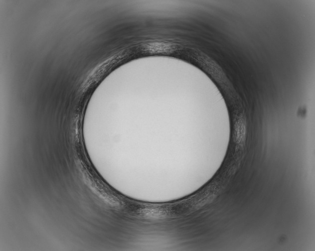 X0000114690733200912021044