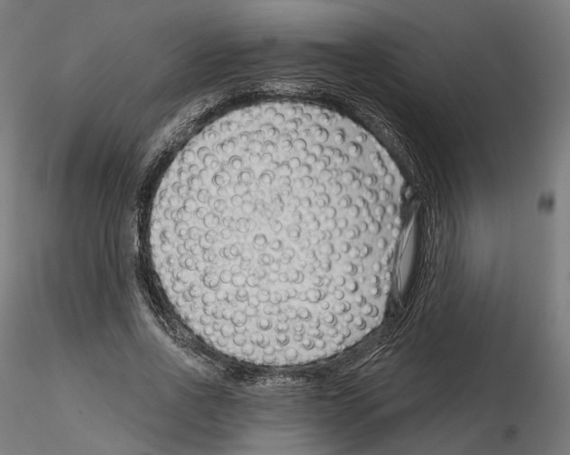 X0000114690734200912021044