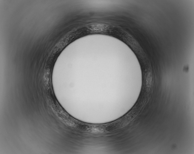 X0000114690737200912021044