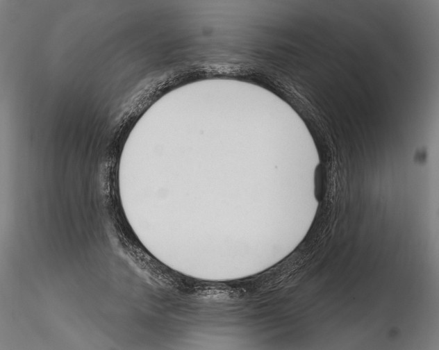 X0000114690738200912021044