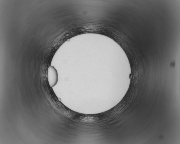 X0000114690751200912021045