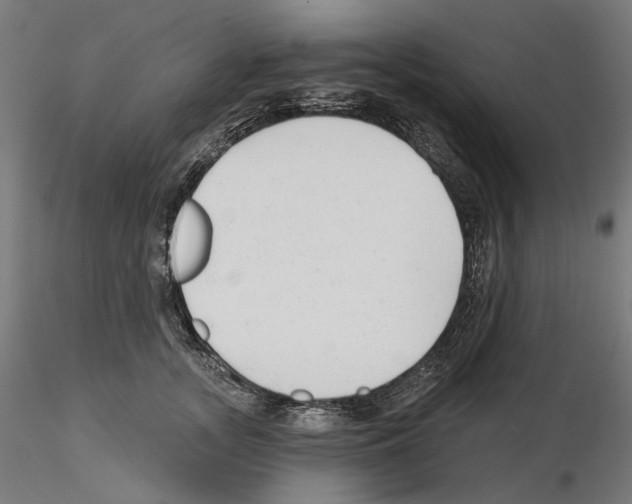 X0000114690755200912021045