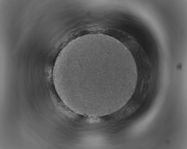 X0000114690767200912021045