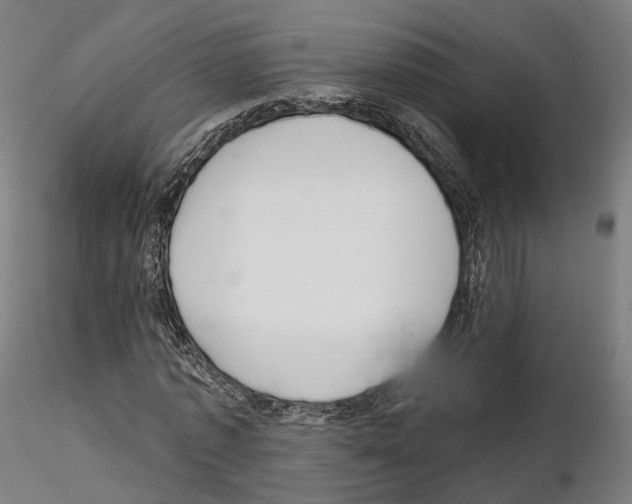 X0000114690773200912021044