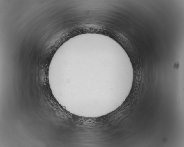 X0000114690774200912021044
