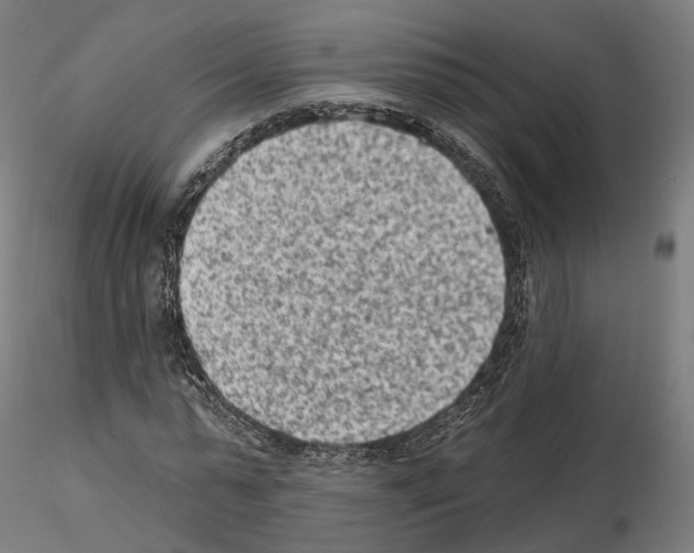 X0000114690775200912021044