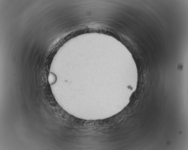 X0000114690776200912021044