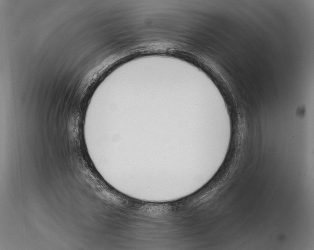 X0000114690778200912021044