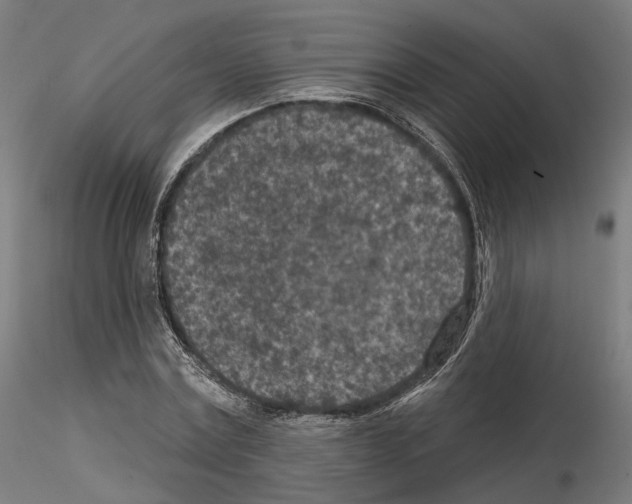 X0000114690779200912021044