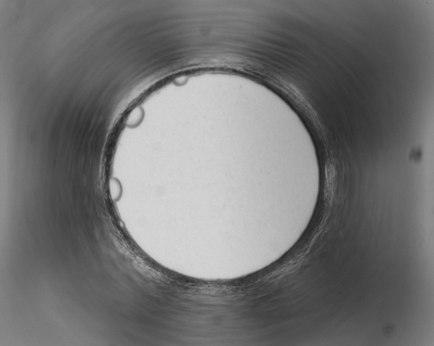 X0000114690780200912021044