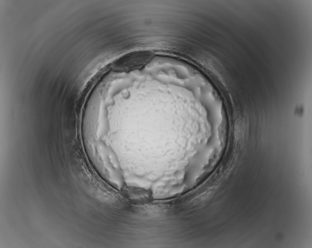 X0000114690781200912021044