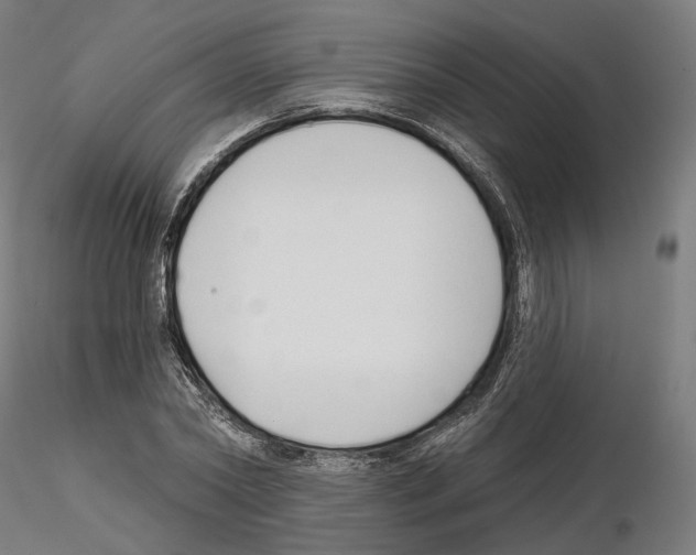 X0000114690782200912021044