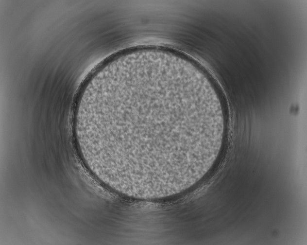 X0000114690783200912021044