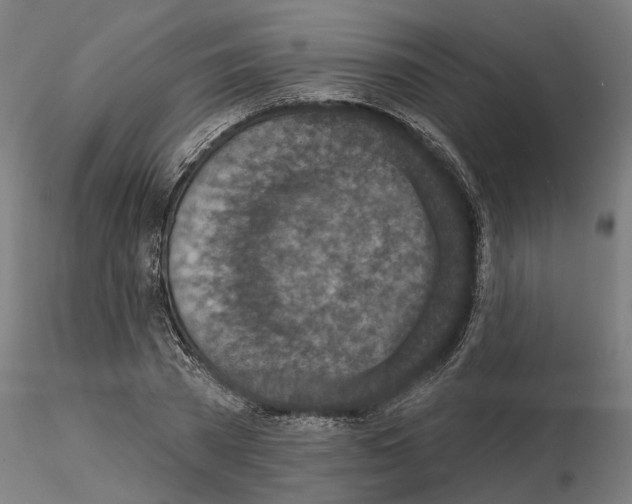 X0000114690785200912021044