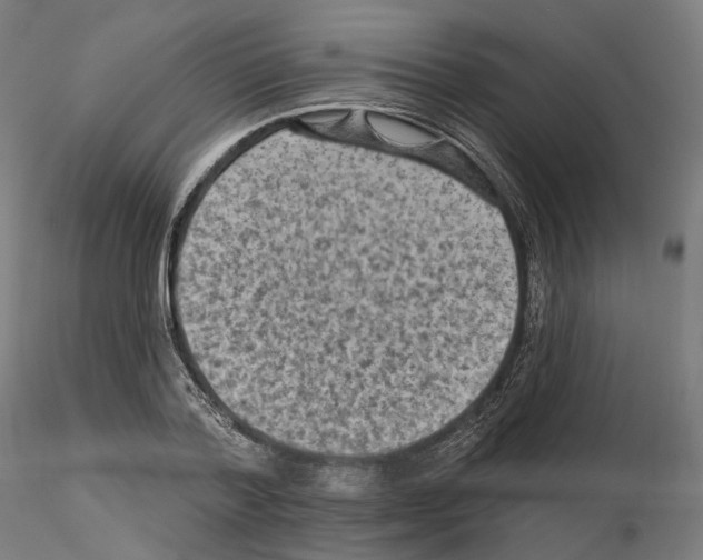 X0000114690788200912021044