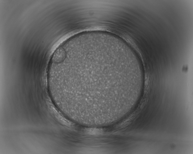 X0000114690789200912021044