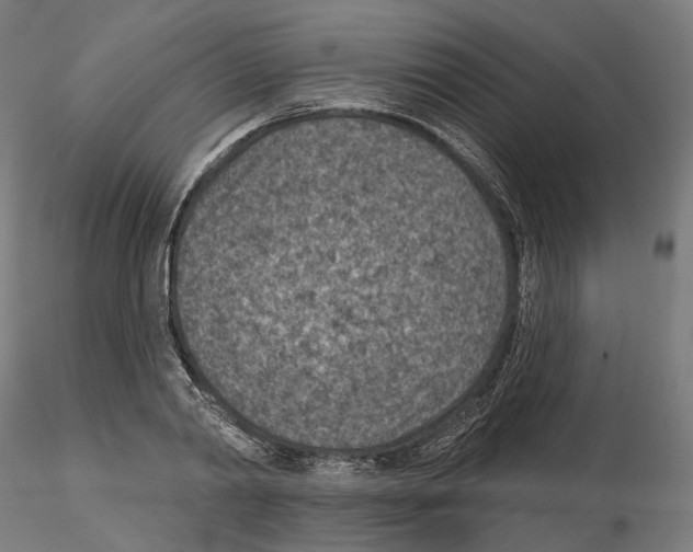 X0000114690790200912021044