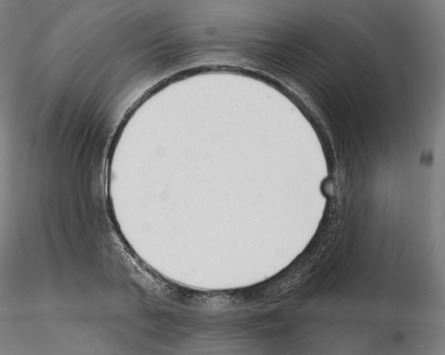 X0000114690791200912021044