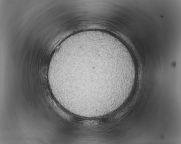 X0000114690793200912021044
