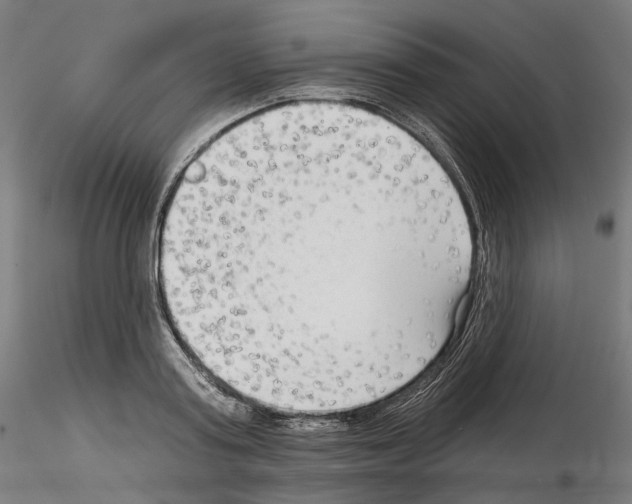 X0000114690795200912021044