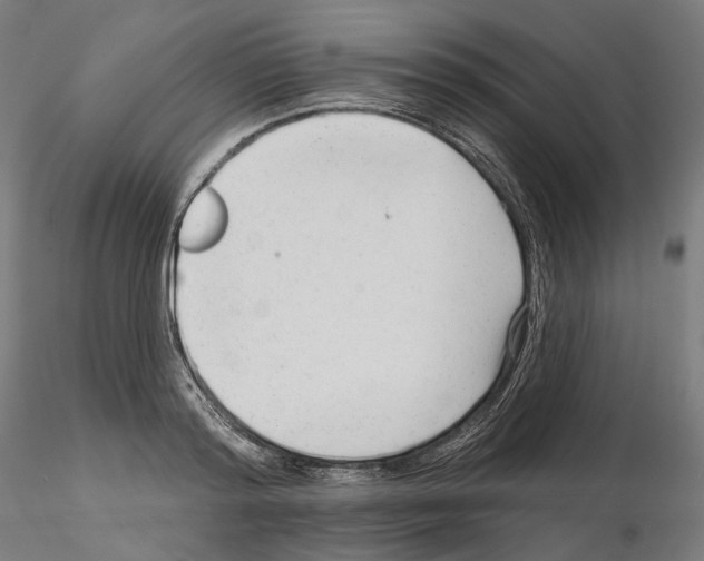 X0000114690796200912021044
