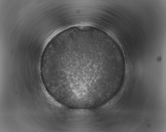 X0000114690797200912021044
