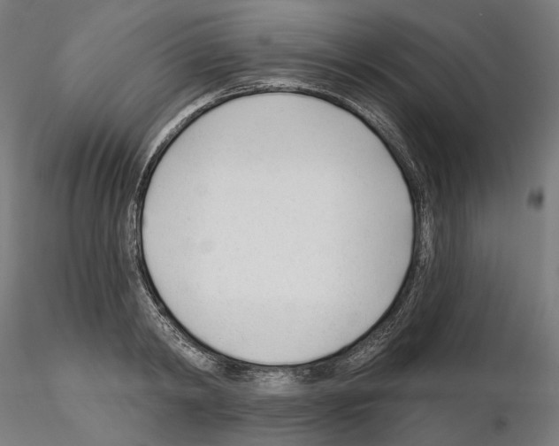 X0000114690798200912021043