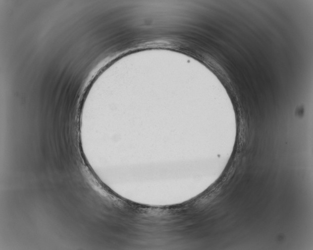X0000114690800200912021043