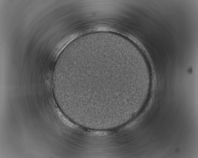 X0000114690801200912021043