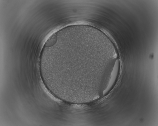 X0000114690805200912021043