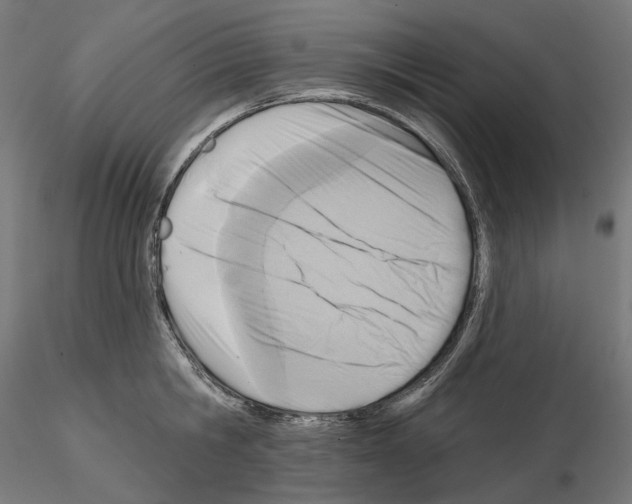 X0000114690806200912021043
