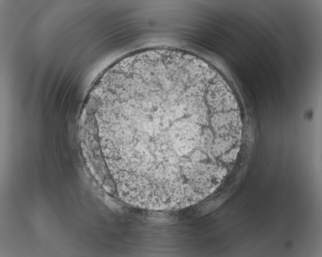 X0000114690807200912021043