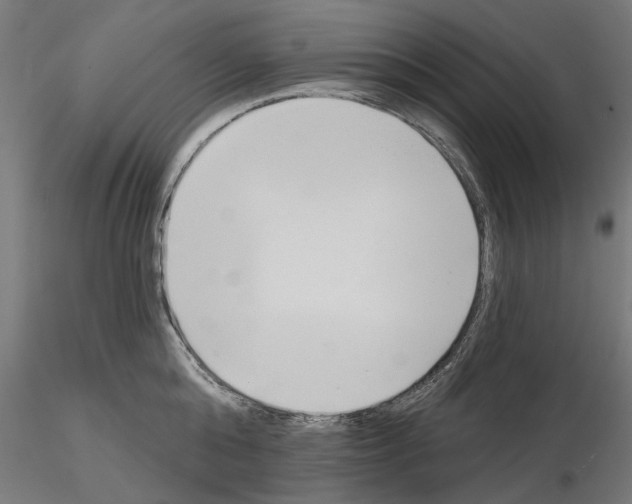 X0000114690808200912021043