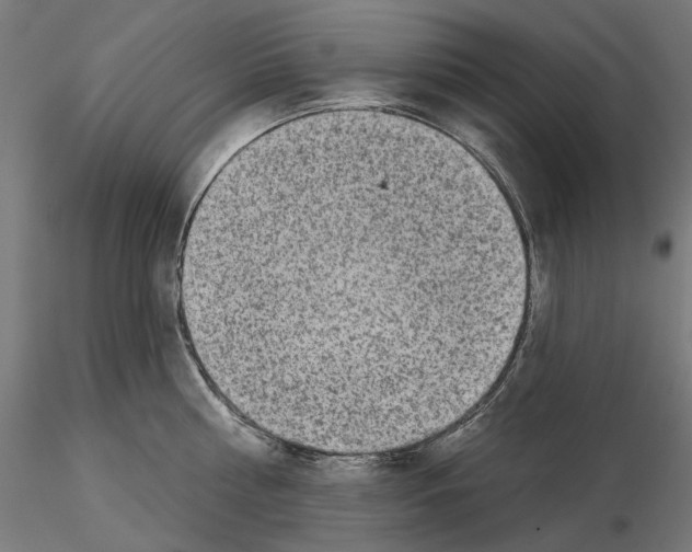 X0000114690810200912021043