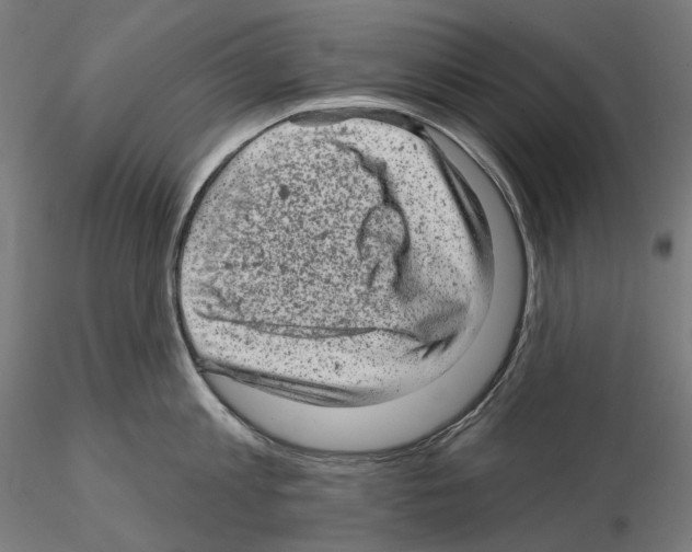 X0000114690813200912021043