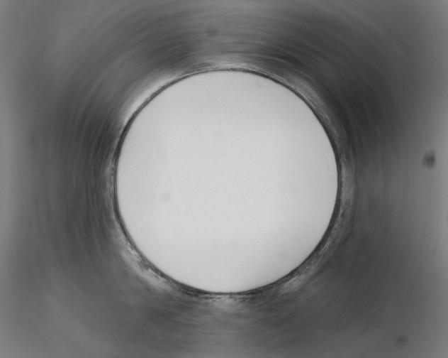 X0000114690814200912021043