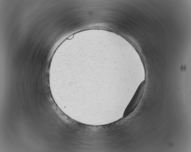 X0000114690816200912021043