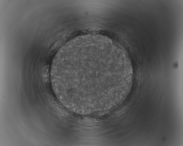 X0000114690818200912021043