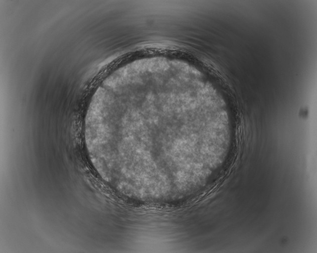 X0000114690822200912021043