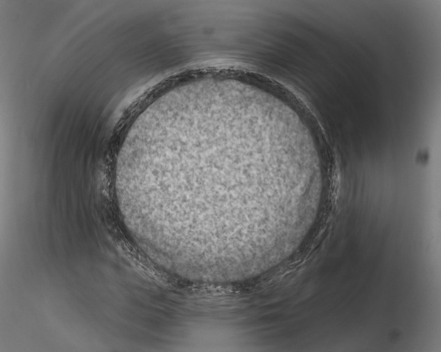 X0000114690823200912021043