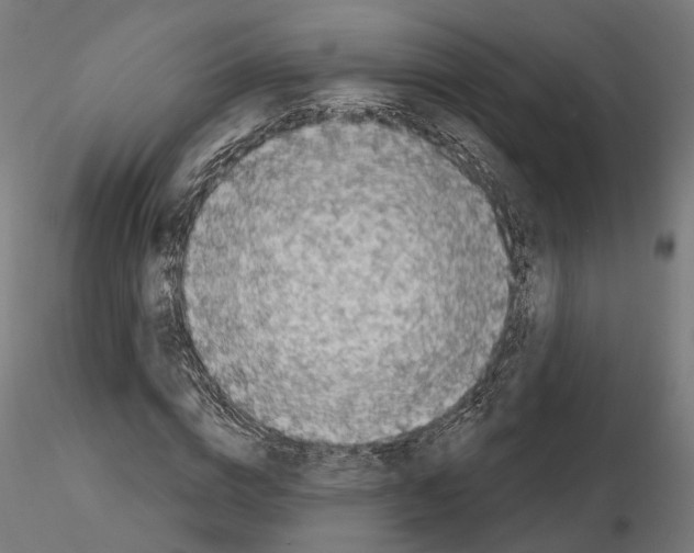 X0000114690824200912021043