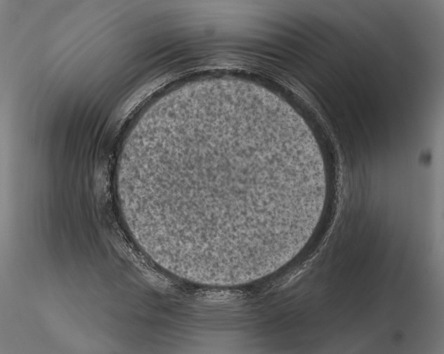 X0000114690826200912021043