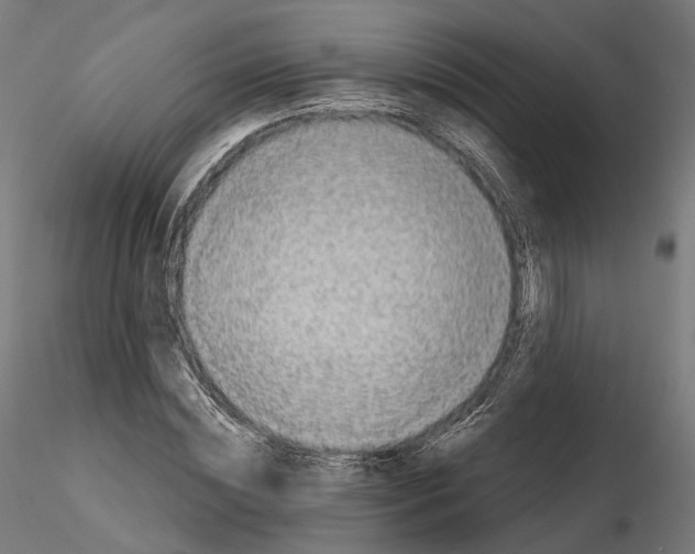 X0000114690828200912021043