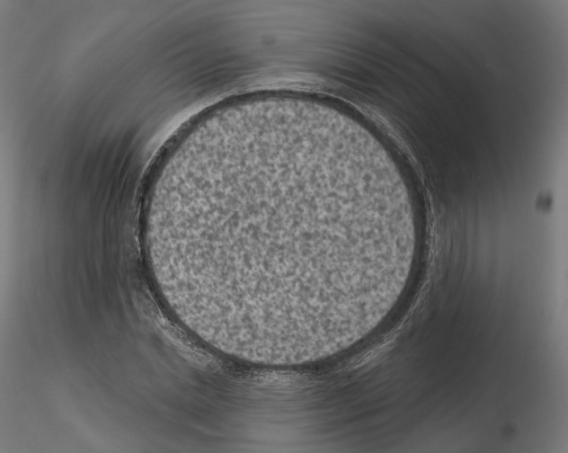 X0000114690830200912021043