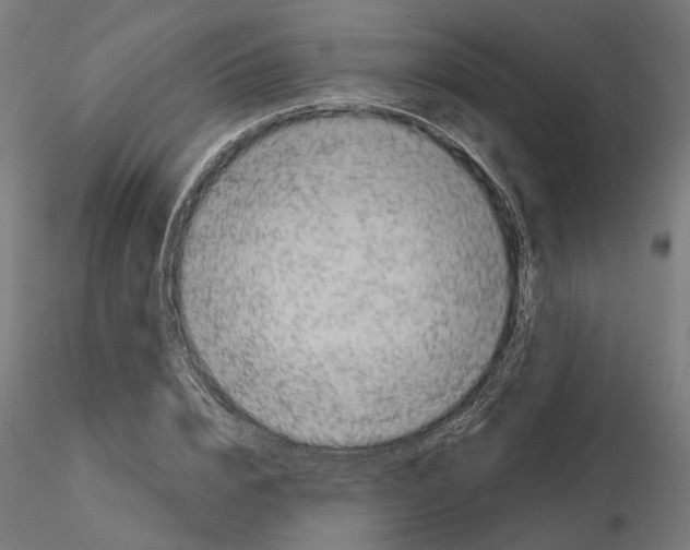 X0000114690832200912021043