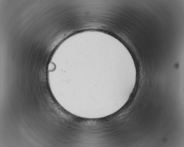 X0000114690834200912021043